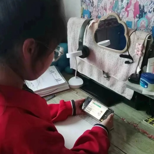 心理健康直播课家校共育,第三期家校共育心理健康专题讲座