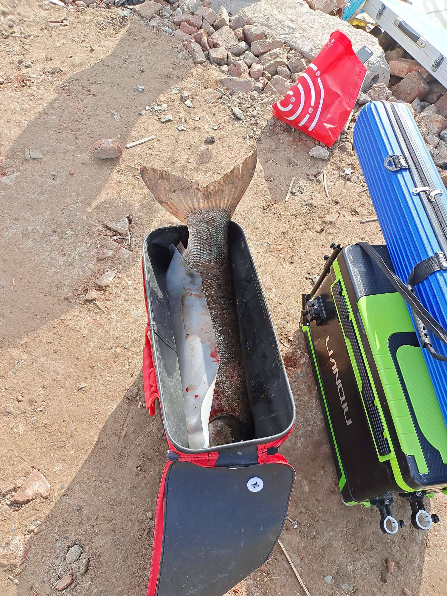 「四月渔获」27斤巨物！刷新个人单尾记录