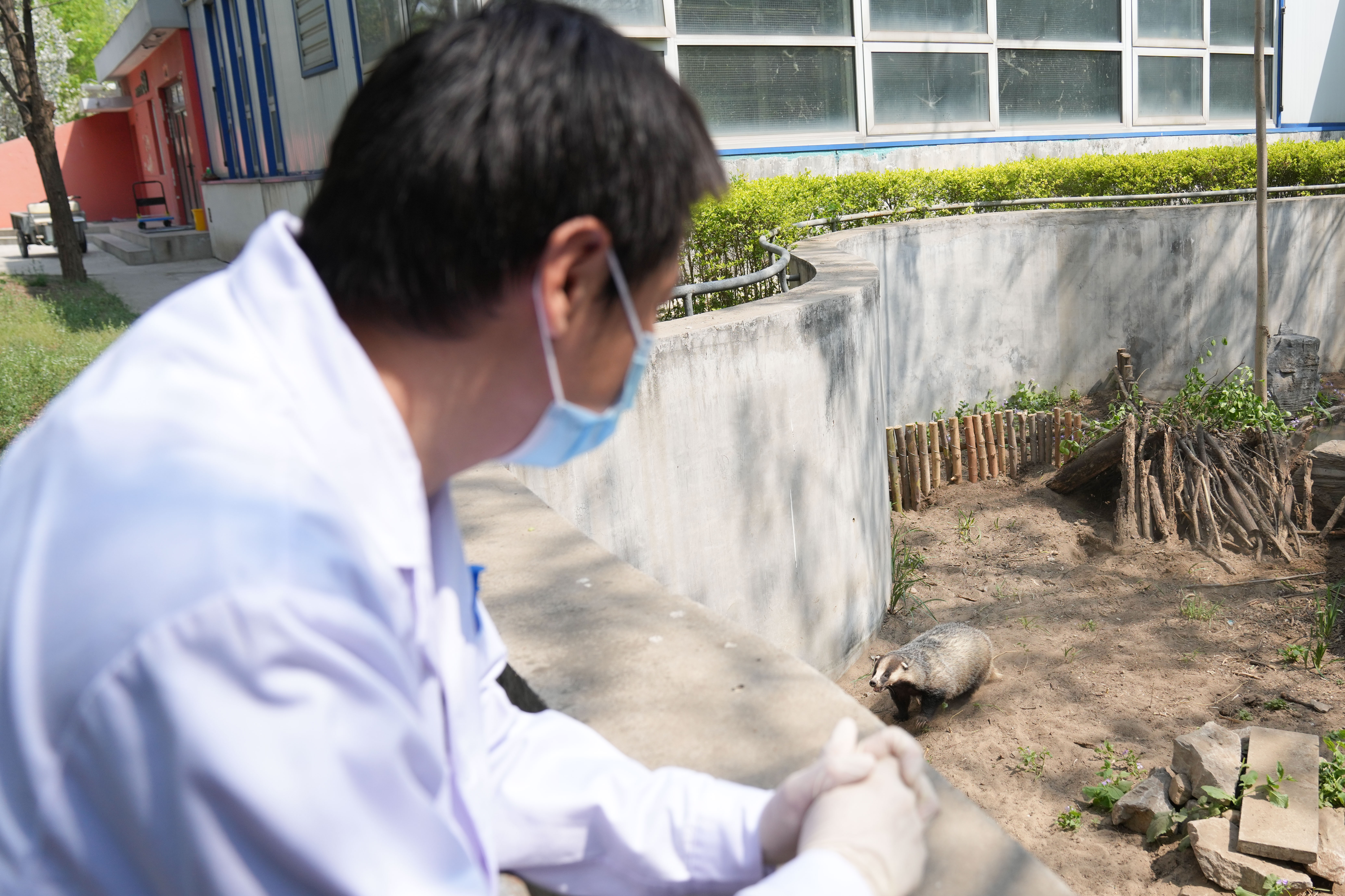野生动物园医务人员,野生动物救护员
