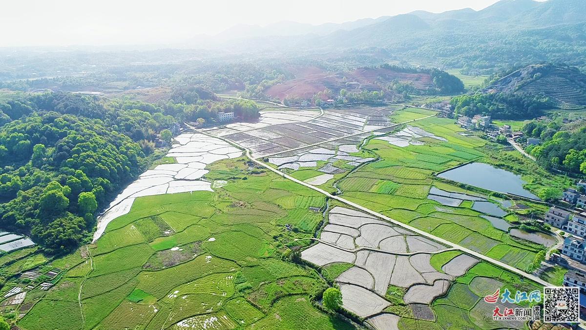 综合产值5.1亿元探寻江西芦溪“富硒”富民密码