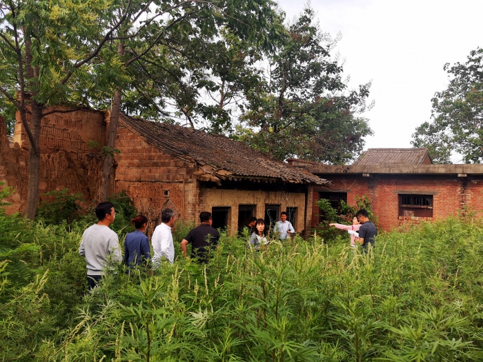 从书香门第投身残垣村落，她在长安乡村打造了一座“活着的博物馆”