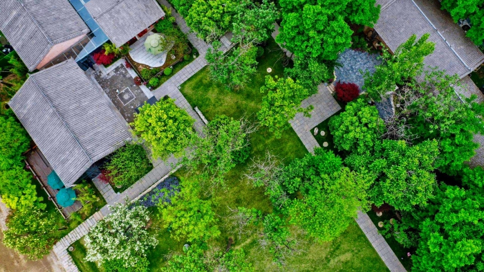 从书香门第投身残垣村落，她在长安乡村打造了一座“活着的博物馆”