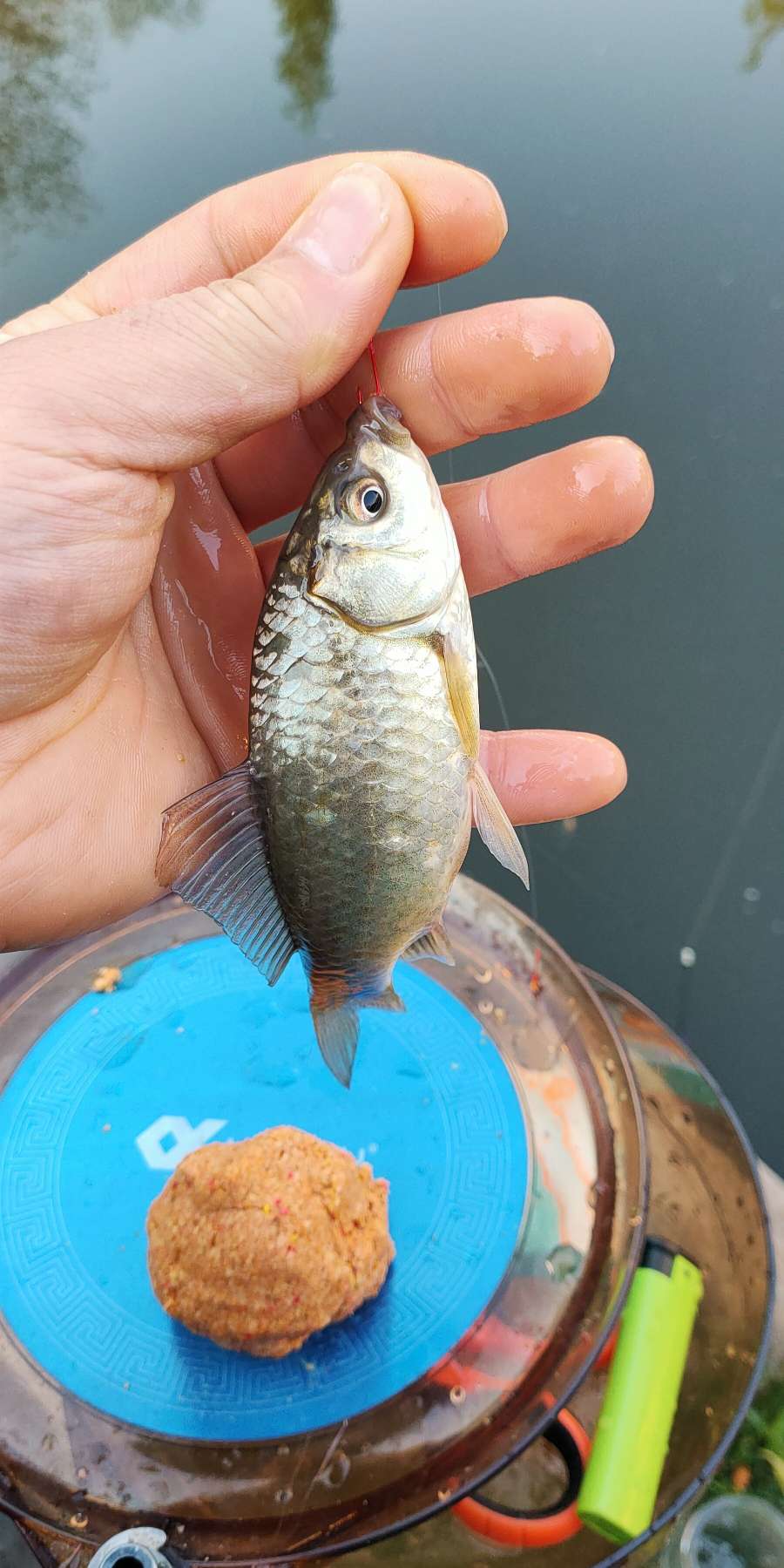 野钓避小鱼实战教学,小钩钓鱼如何避杂鱼