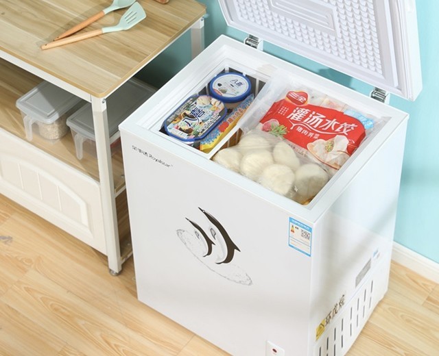 冰柜囤菜,囤菜冰柜推荐