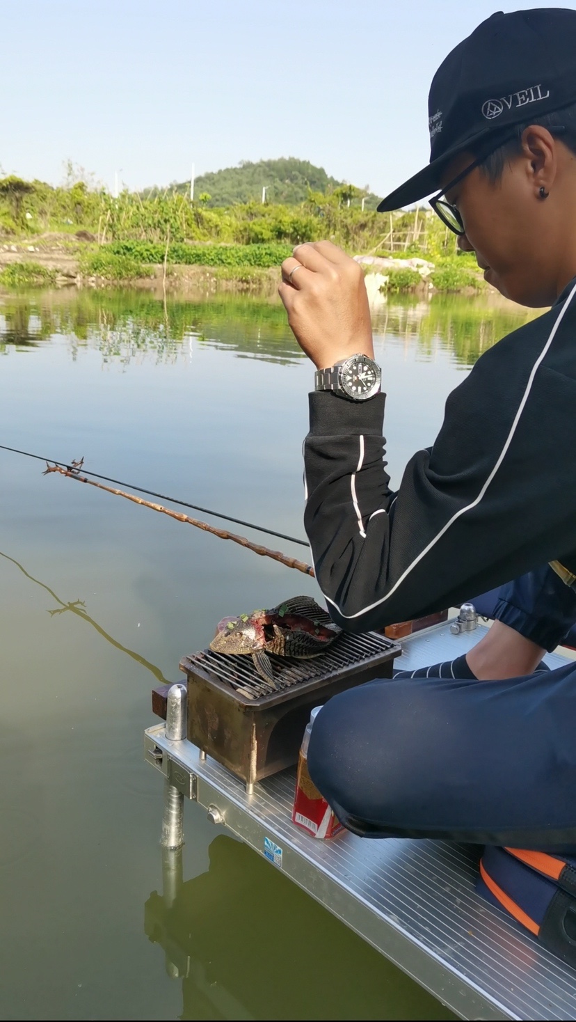 「518」小罗非垂竿自上，清道夫碳烤“美味”眼泪流