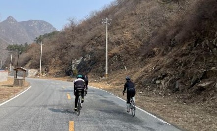 淘宝自行车销量,淘宝销量第一自行车