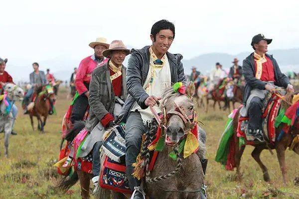 非遗赛马项目,少数民族赛马纯血马