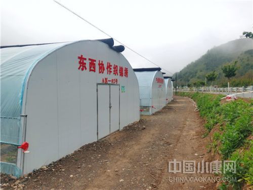 小村大事澎湃新闻,乡村振兴小城大事