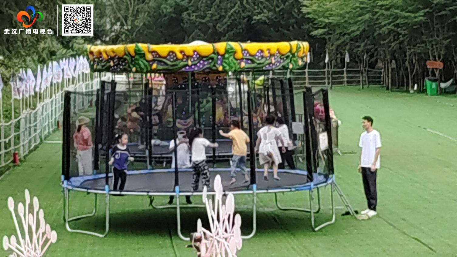 东湖马鞍山森林公园花海盛放迎客来