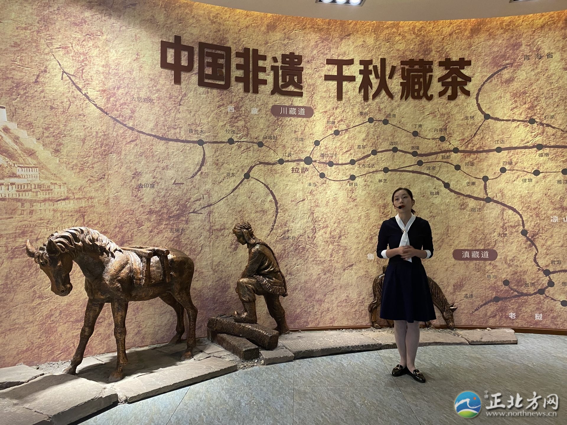 茶马古道上又传来马帮的驼铃声,茶马古道茶叶香