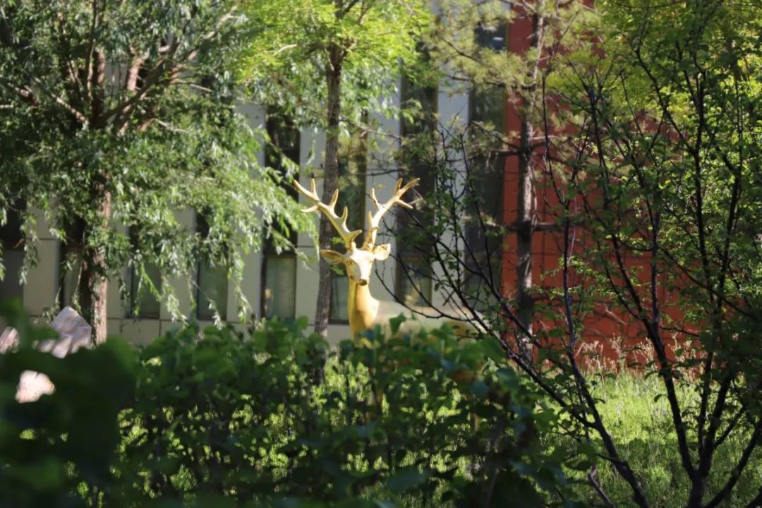 遇见三中邂逅美好