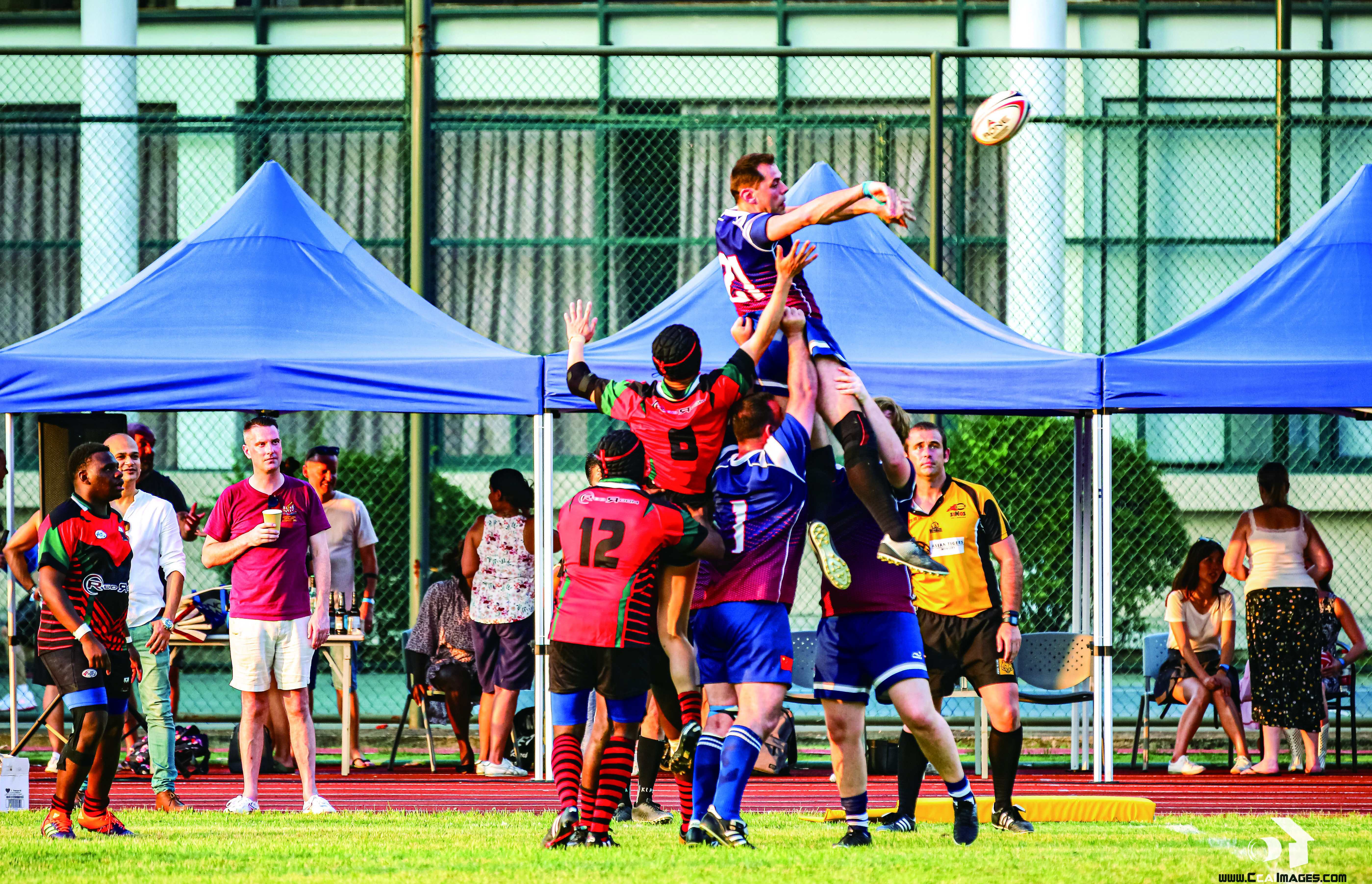 入选福布斯年度under30榜单,福布斯中国30under30榜单