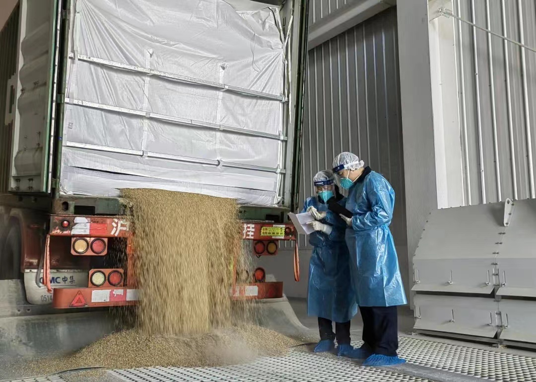 经济观察丨RCEP生效半年四川迎来哪些红利？