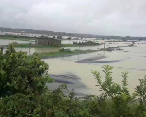 鍗庡崡鏆撮洦鎴愮伨,鍗庡崡鎸佺画鏆撮洦