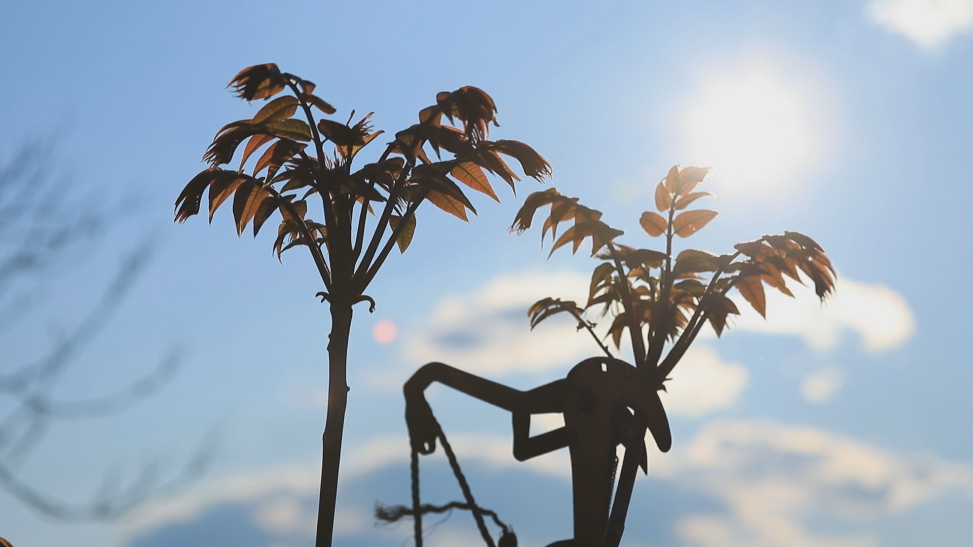 寻味京城爱心助农“北京节节高”之“尝鲜儿”主题活动正式启动