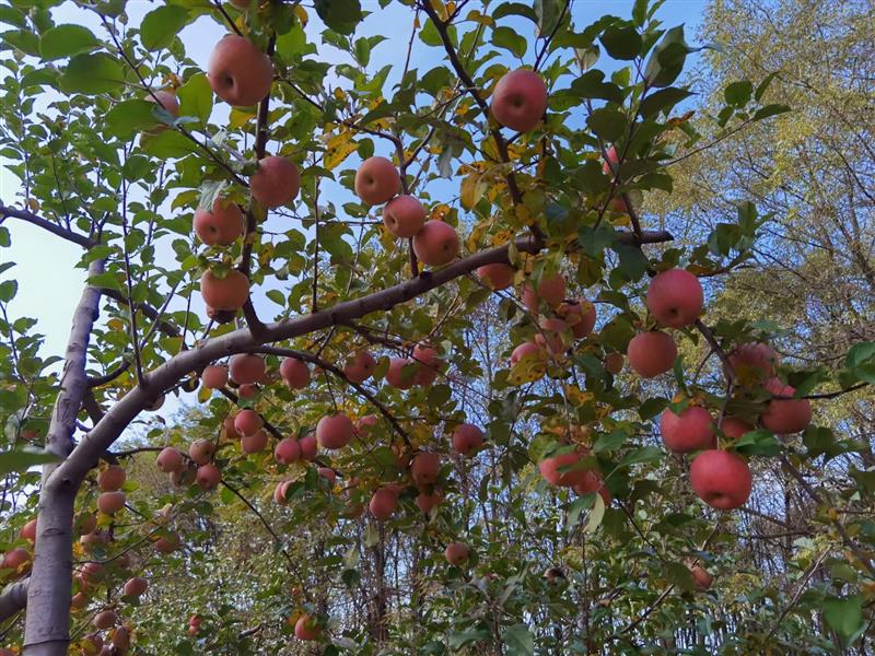 行业洞察与分析,行业洞察是什么意思