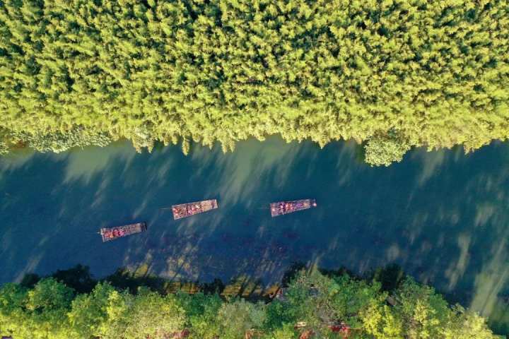 浙江漂流攻略推荐,暑假江浙沪漂流推荐3天两夜