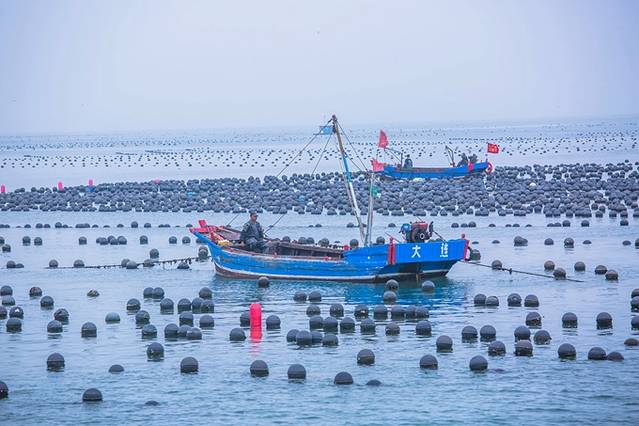 大连海岛旅游推荐,大连最美的海岛是哪里