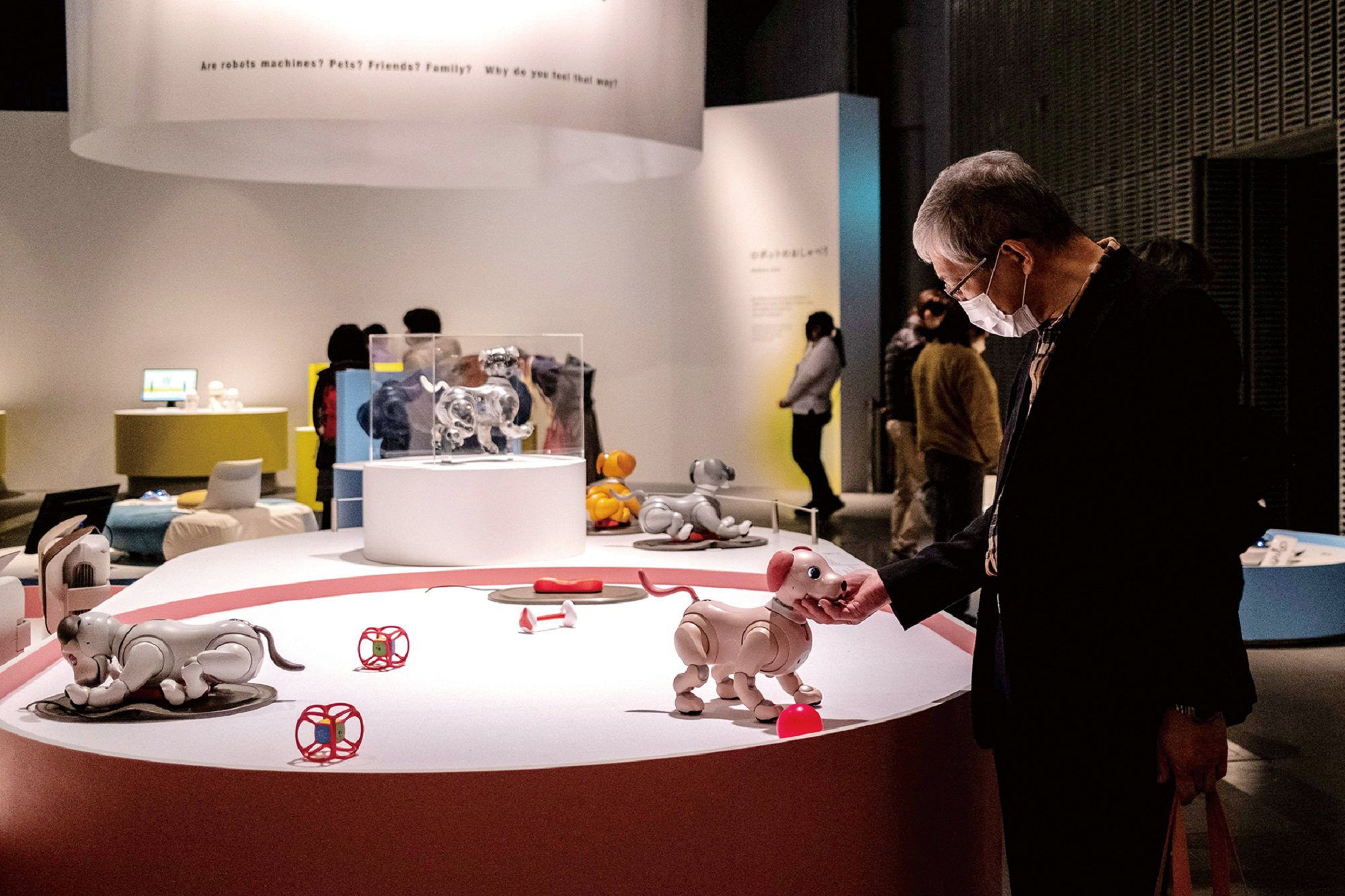 生，还是不生？——日本少子化50年