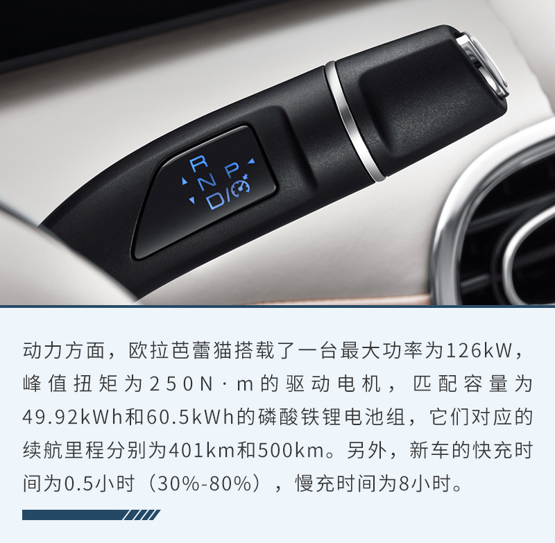 欧拉芭蕾猫是否值得买为什么呢,欧拉芭蕾猫任性宠粉