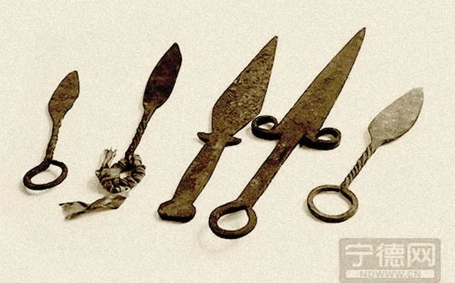 闽东之光｜郑承东：一条路的血色九贝（二）