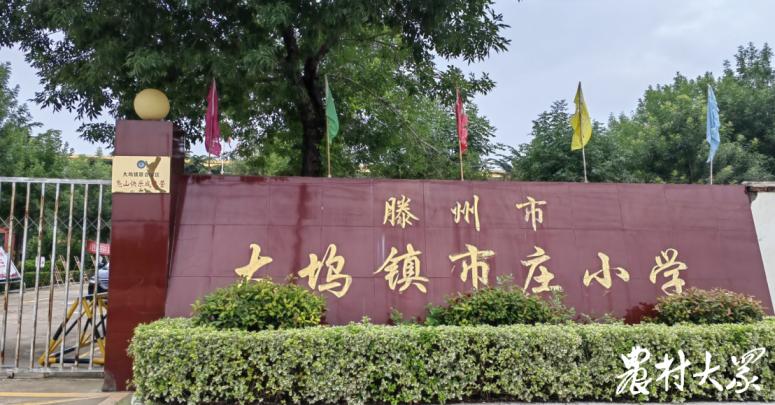 滕州羊庄乐羊羊成长乐园,滕州快乐户外俱乐部