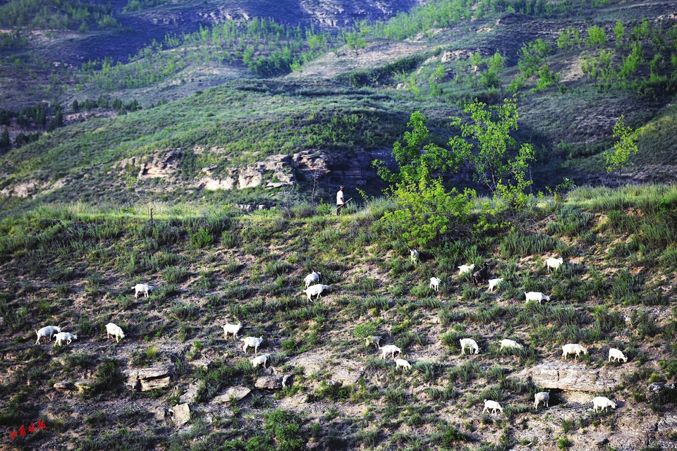 万里黄河千百回妩媚最是第一湾