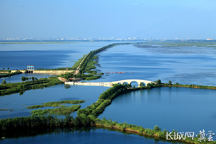 衡水湖国家级自然保护区昆虫种类 (衡水湖昆虫)