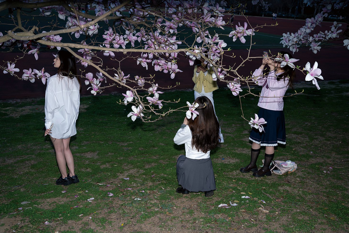 疫情下的大学,上海最新疫情影响下的大学