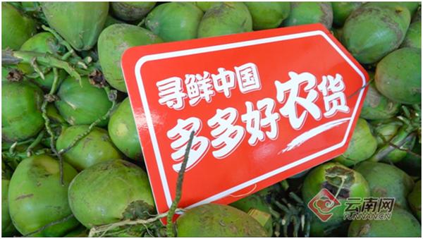 拼多多百亿补贴助农直播,拼多多百亿补贴会员9.7折