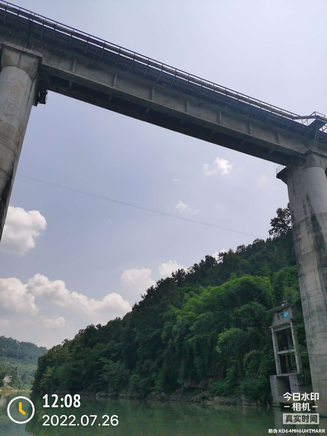 「七月鱼获」骗最憨的巨草！上最憨的洋当