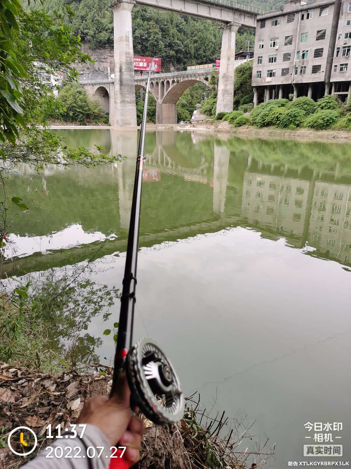 「七月鱼获」骗最憨的巨草！上最憨的洋当