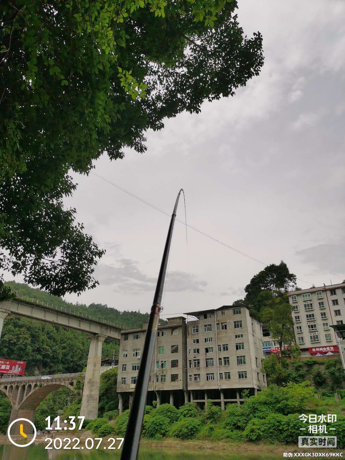 「七月鱼获」骗最憨的巨草！上最憨的洋当