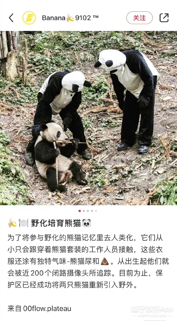 橘子晚报/吴京拒绝女嘉宾挽手?姜昇润恋情?