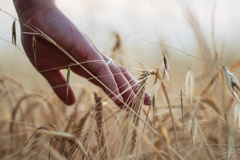 坊间历史,坊间传奇电视剧
