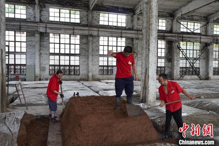 陇南徽县非遗传承,甘肃陇南非遗