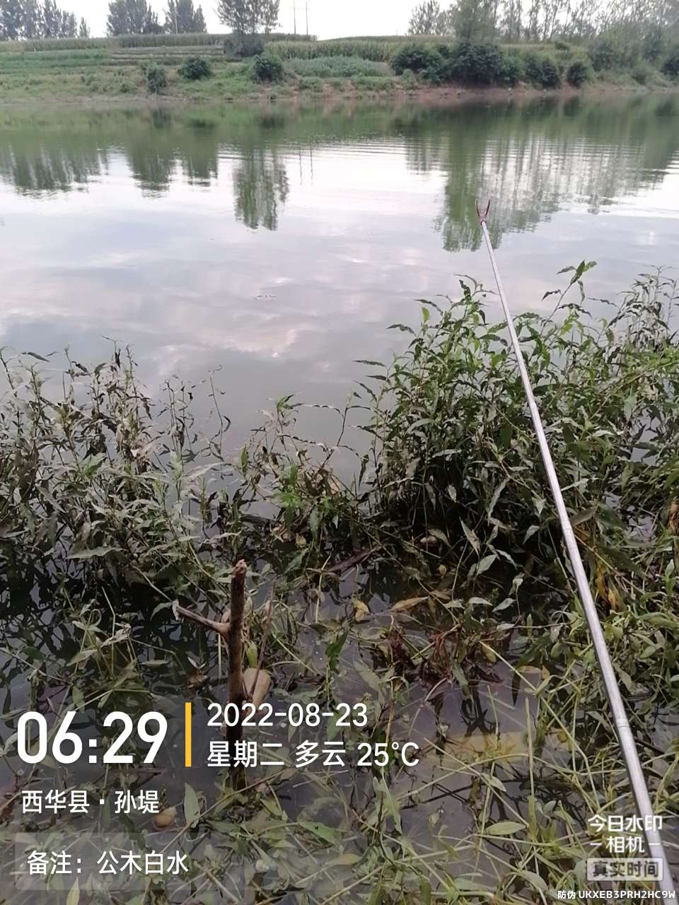 8月里面的鱼怎么钓,钓位选什么鱼最好