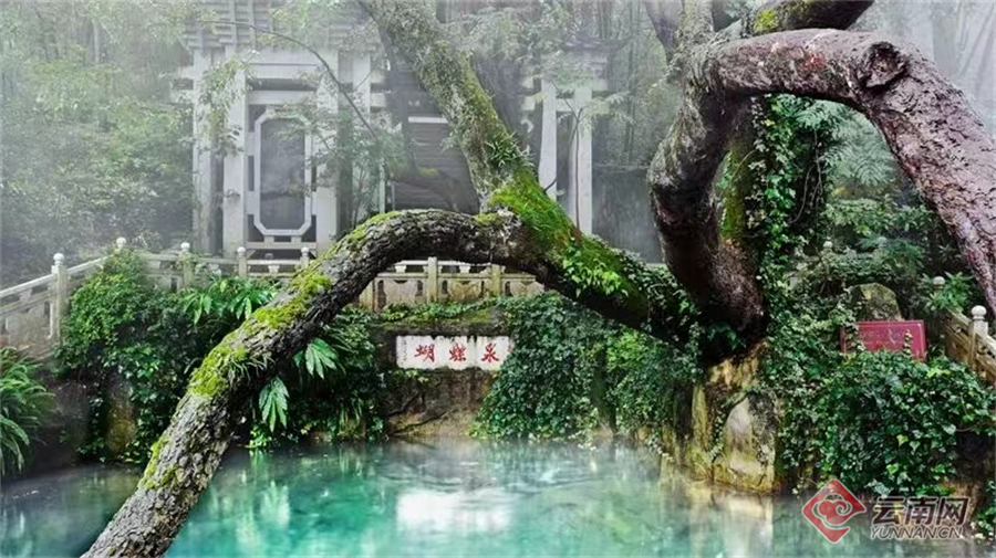 早安云南大理,大理蝴蝶泉景区与五朵金花