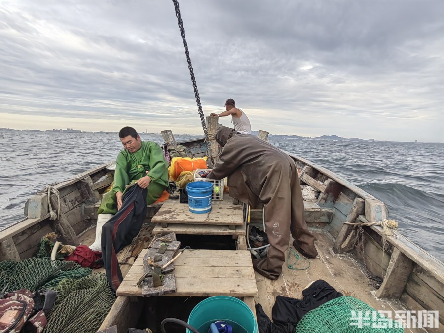 桂东出海记丨猛子将，海底捞！高风险，水上漂！好宝贝，浪里淘！揭秘胶州湾深潜捕捞者