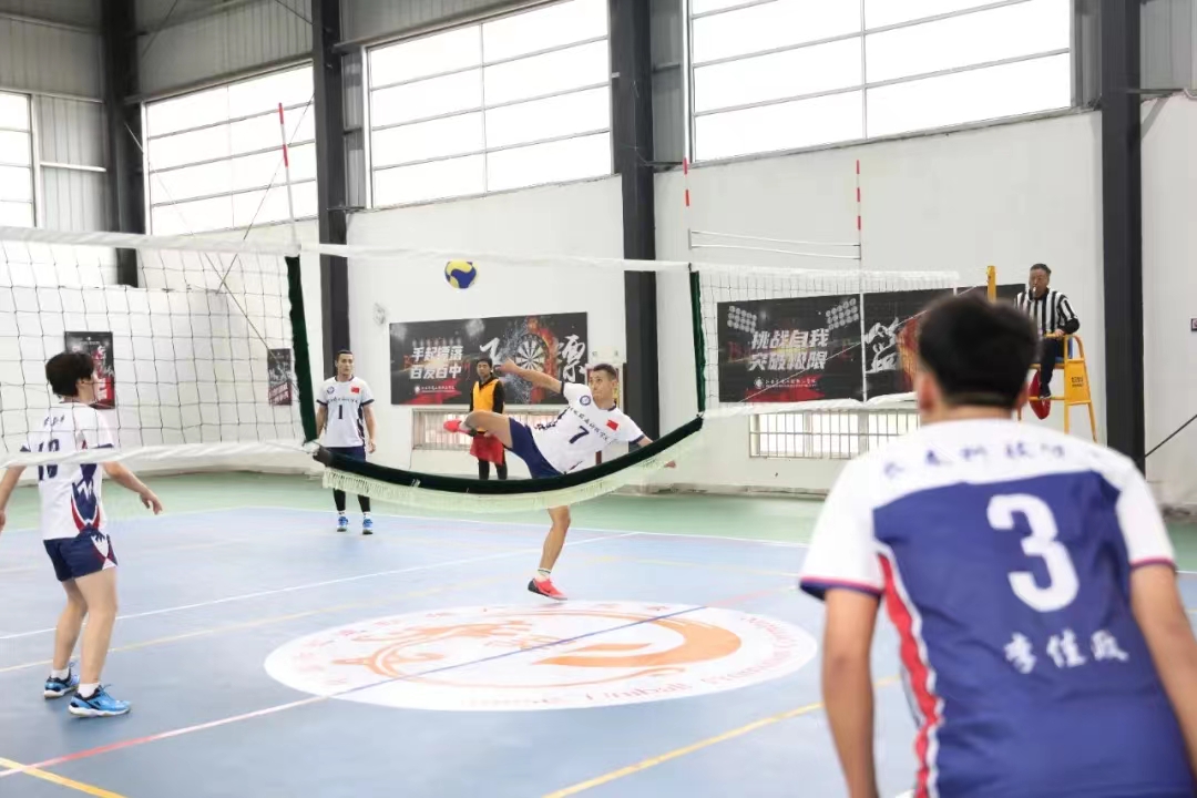 韫撮灎vs鎺掔悆,姘戞棌浼犵粺浣撹偛韫寸悆