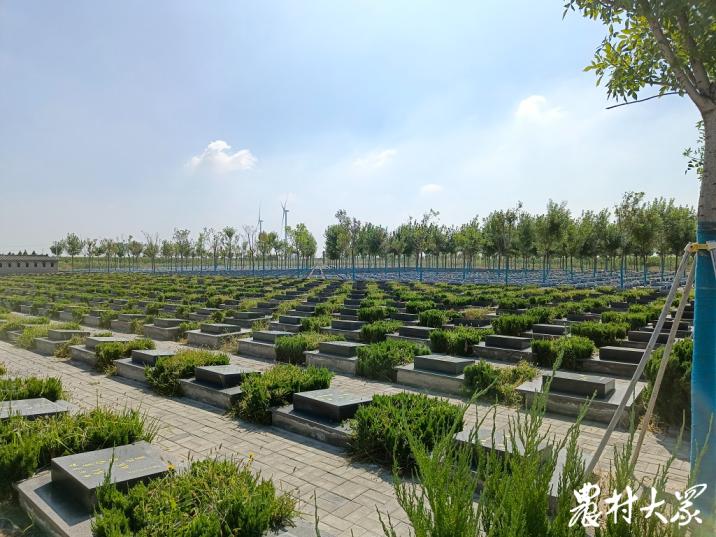 乡镇建起公益性公墓，村民殡葬费用减去一个“零”