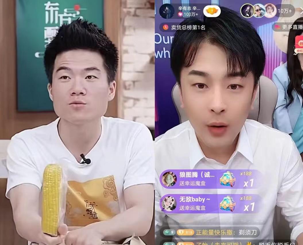 辛巴与董宇辉事件来龙去脉,辛巴董宇辉事件梳理表格