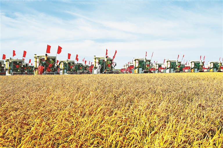 北大荒农业股份集成应用关键技术保护黑土地