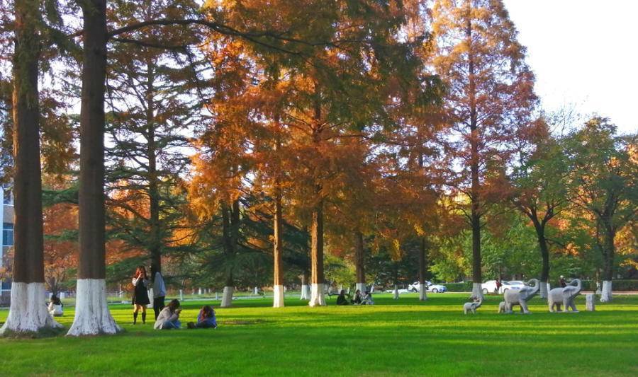 山东十大最美校园,山东最美校园大学