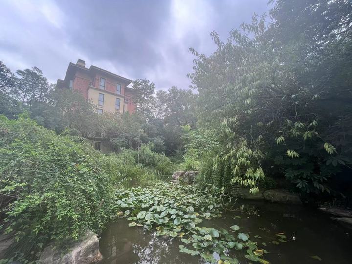 以前挤破头在城里买房,当初挤破脑袋想买的房子