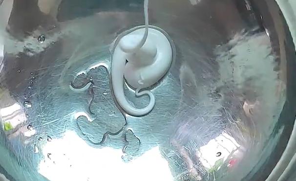 冰箱有异味怎么快速去除妙招视频,冰箱有异味最全的除味小妙招