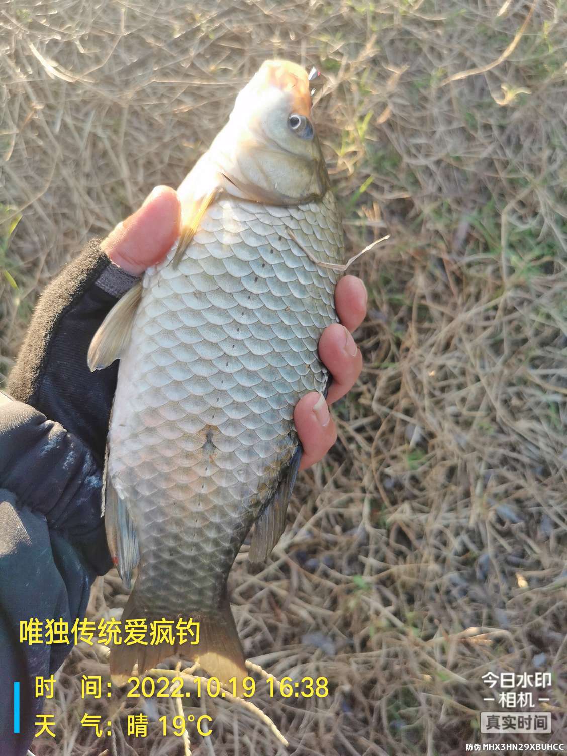 传统钓有风浪,传统钓线组如何应对风浪