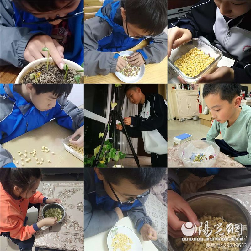 西安市新城区东方中学怎么样,西安市东方中学