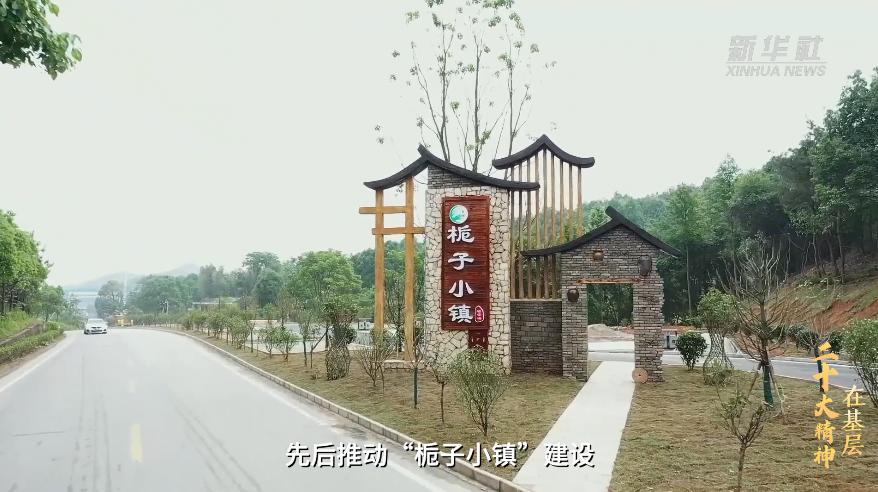 宁乡喻家坳乡栀子小镇,宁乡移动助力栀子小镇