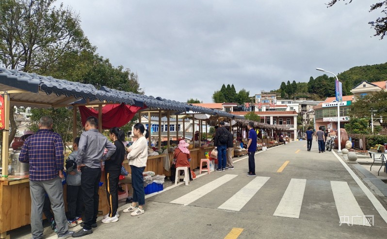 乡村守护人苏货新农人返乡创业,90后新农人回乡创业乡村振兴